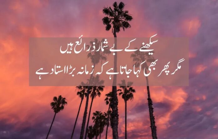 Top 20 Life Quotes in Urdu