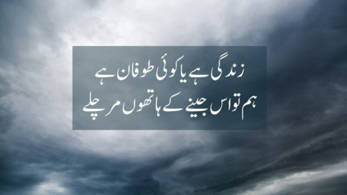 2-line Attitude Quotes